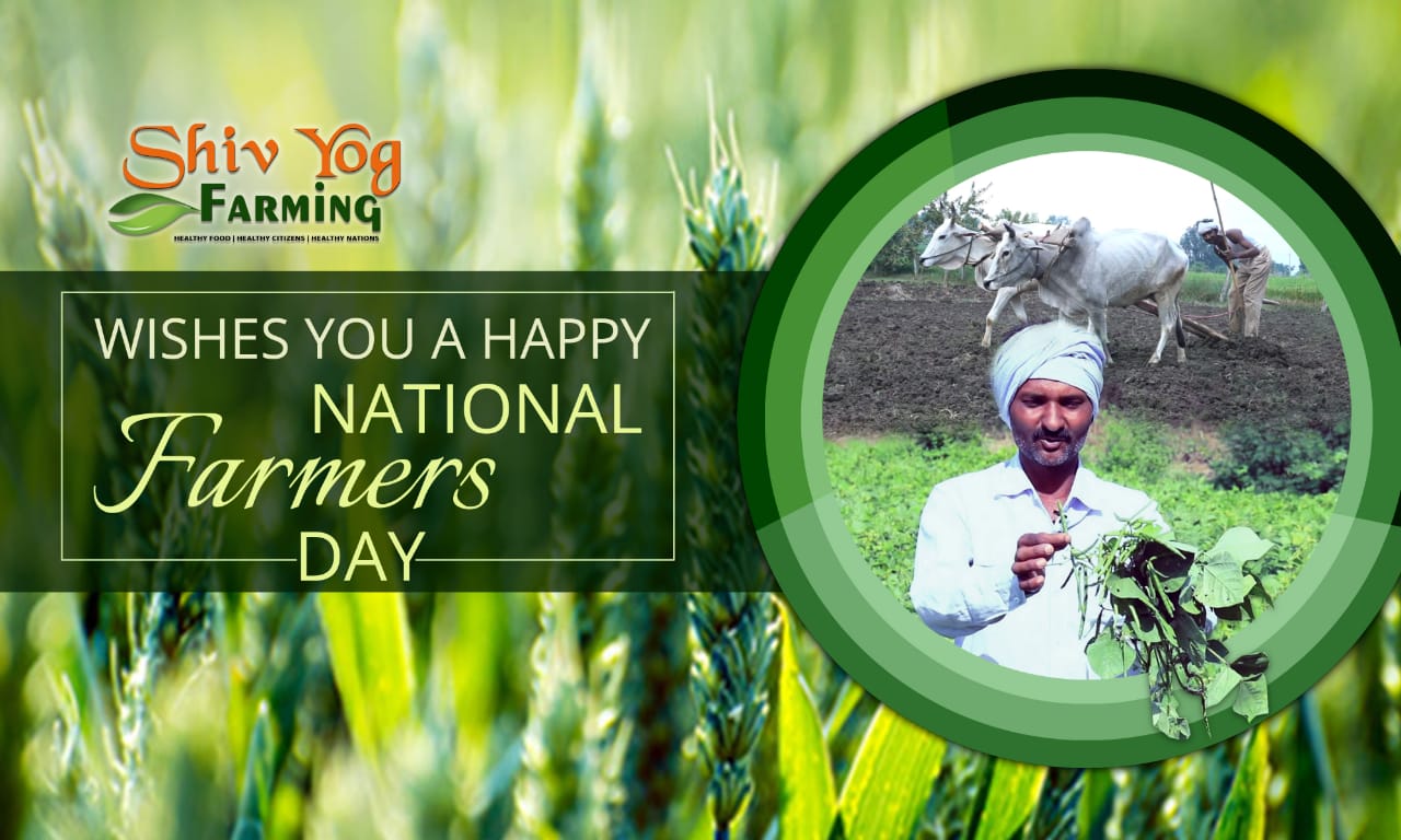 Shiv Yog WISHES YOU A HAPPY NATIONAL FARMERS DAY | ShivYog Farming
